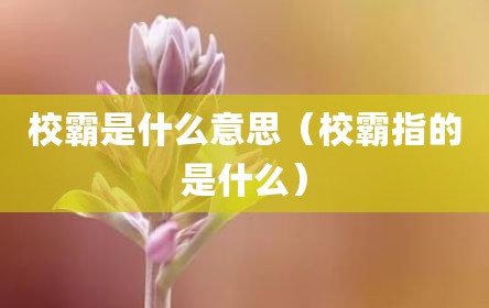 校霸是什么意思（校霸指的是什么）