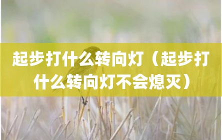 起步打什么转向灯（起步打什么转向灯不会熄灭）