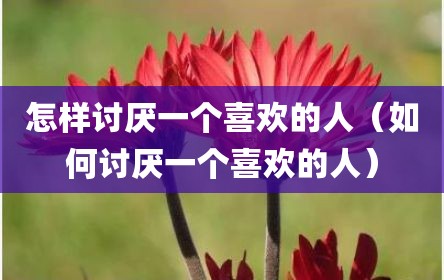 怎样讨厌一个喜欢的人（如何讨厌一个喜欢的人）