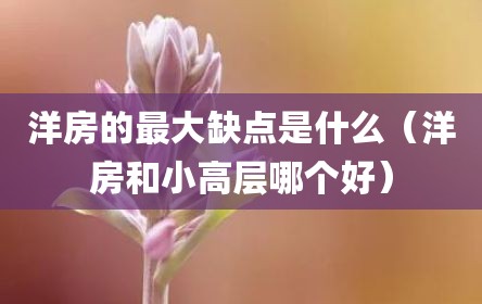 洋房的最大缺点是什么（洋房和小高层哪个好）