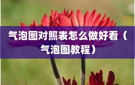 气泡图对照表怎么做好看（气泡图教程）