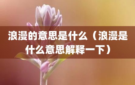 浪漫的意思是什么（浪漫是什么意思解释一下）