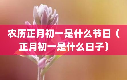 农历正月初一是什么节日（正月初一是什么日子）