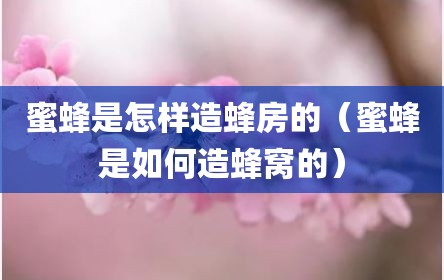 蜜蜂是怎样造蜂房的（蜜蜂是如何造蜂窝的）