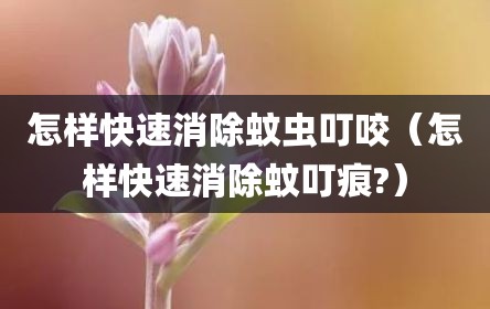 怎样快速消除蚊虫叮咬（怎样快速消除蚊叮痕?）