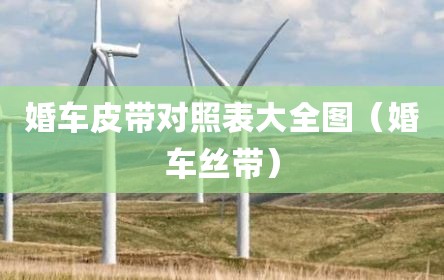 婚车皮带对照表大全图（婚车丝带）