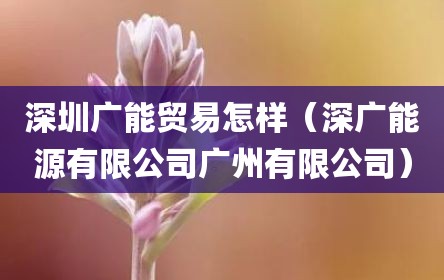 深圳广能贸易怎样（深广能源有限公司广州有限公司）
