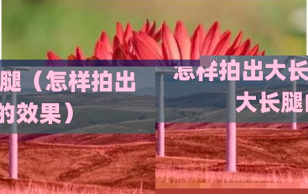 怎样拍出大长腿（怎样拍出大长腿的效果）
