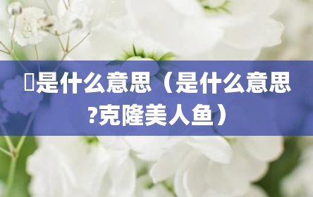 尣是什么意思（是什么意思?克隆美人鱼）