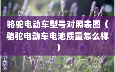 骆驼电动车型号对照表图（骆驼电动车电池质量怎么样）