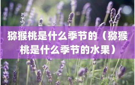 猕猴桃是什么季节的（猕猴桃是什么季节的水果）