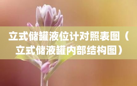 立式储罐液位计对照表图（立式储液罐内部结构图）