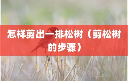 怎样剪出一排松树（剪松树的步骤）