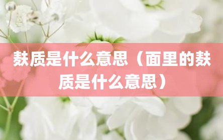 麸质是什么意思（面里的麸质是什么意思）