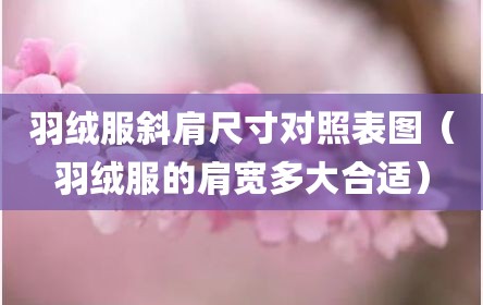 羽绒服斜肩尺寸对照表图（羽绒服的肩宽多大合适）