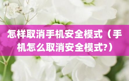 怎样取消手机安全模式（手机怎么取消安全模式?）