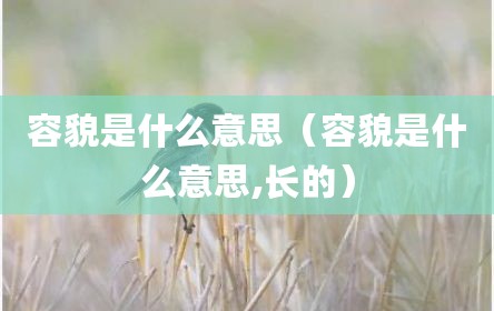 容貌是什么意思（容貌是什么意思,长的）
