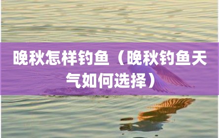 晚秋怎样钓鱼（晚秋钓鱼天气如何选择）