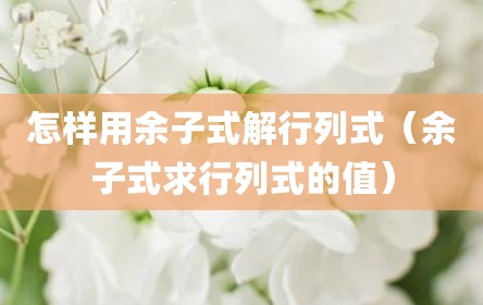 怎样用余子式解行列式（余子式求行列式的值）