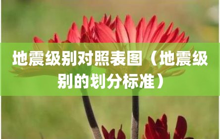 地震级别对照表图（地震级别的划分标准）