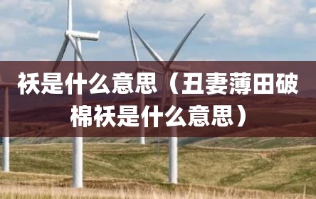 袄是什么意思（丑妻薄田破棉袄是什么意思）