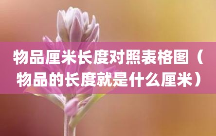 物品厘米长度对照表格图（物品的长度就是什么厘米）