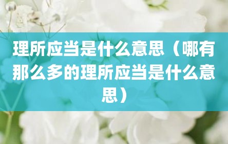 理所应当是什么意思（哪有那么多的理所应当是什么意思）