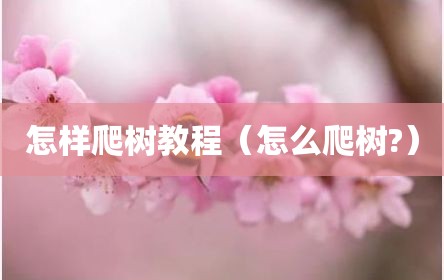 怎样爬树教程（怎么爬树?）