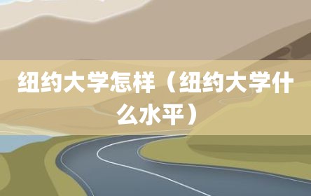 纽约大学怎样（纽约大学什么水平）