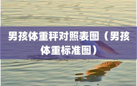 男孩体重秤对照表图（男孩体重标准图）