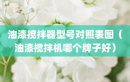 油漆搅拌器型号对照表图（油漆搅拌机哪个牌子好）