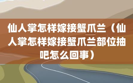 仙人掌怎样嫁接蟹爪兰（仙人掌怎样嫁接蟹爪兰部位抽吧怎么回事）