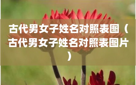 古代男女子姓名对照表图（古代男女子姓名对照表图片）