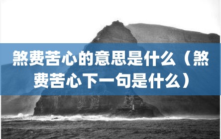 煞费苦心的意思是什么（煞费苦心下一句是什么）