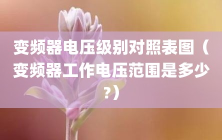 变频器电压级别对照表图（变频器工作电压范围是多少?）