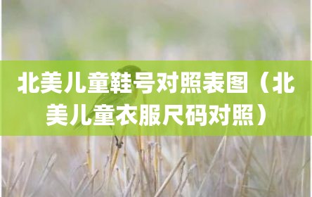 北美儿童鞋号对照表图（北美儿童衣服尺码对照）