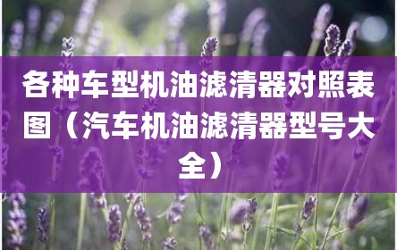 各种车型机油滤清器对照表图（汽车机油滤清器型号大全）