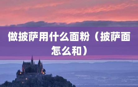 做披萨用什么面粉（披萨面怎么和）