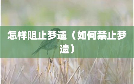 怎样阻止梦遗（如何禁止梦遗）