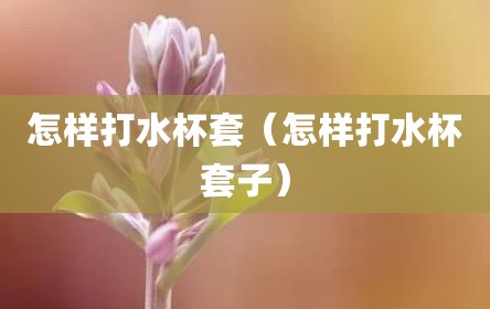 怎样打水杯套（怎样打水杯套子）