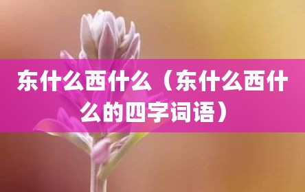 东什么西什么（东什么西什么的四字词语）