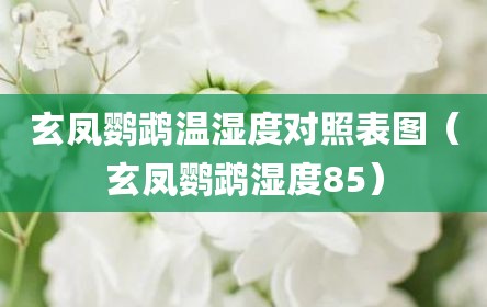 玄凤鹦鹉温湿度对照表图（玄凤鹦鹉湿度85）
