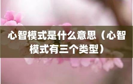 心智模式是什么意思（心智模式有三个类型）