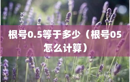 根号0.5等于多少（根号05怎么计算）