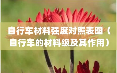 自行车材料强度对照表图（自行车的材料级及其作用）