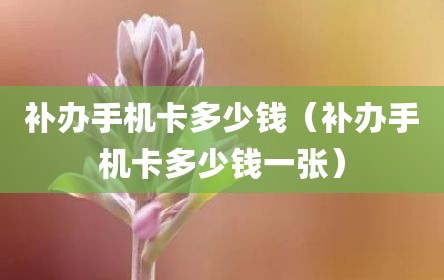 补办手机卡多少钱（补办手机卡多少钱一张）