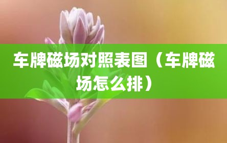 车牌磁场对照表图（车牌磁场怎么排）