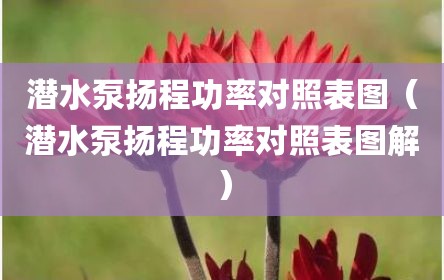 潜水泵扬程功率对照表图（潜水泵扬程功率对照表图解）