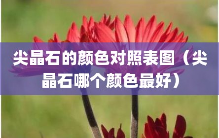 尖晶石的颜色对照表图（尖晶石哪个颜色最好）