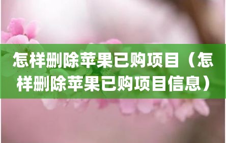 怎样删除苹果已购项目（怎样删除苹果已购项目信息）